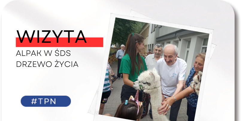 Wizyta alpak w&nbsp;ŚDS DRZEWO ŻYCIA